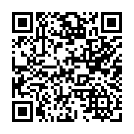 QR code for H33995
