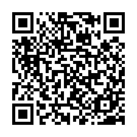 QR code for H35507