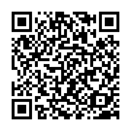 QR code for H37209