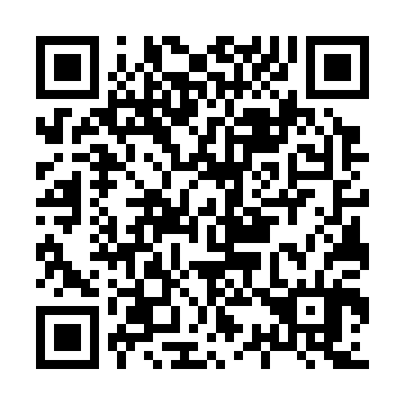 QR code for H37304