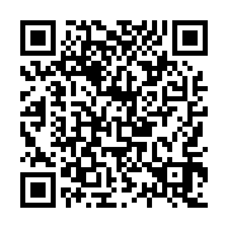 QR code for H38013
