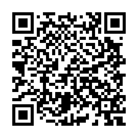 QR code for H38051