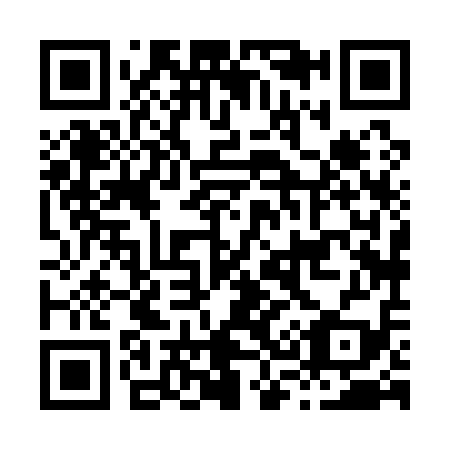 QR code for H38119