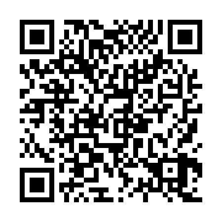 QR code for H38128