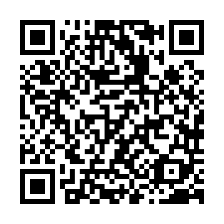 QR code for H38149