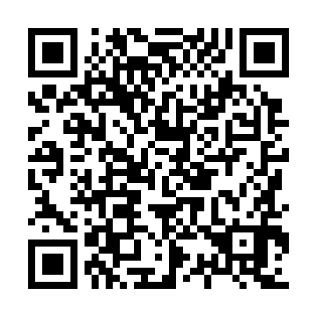 QR code for H38390