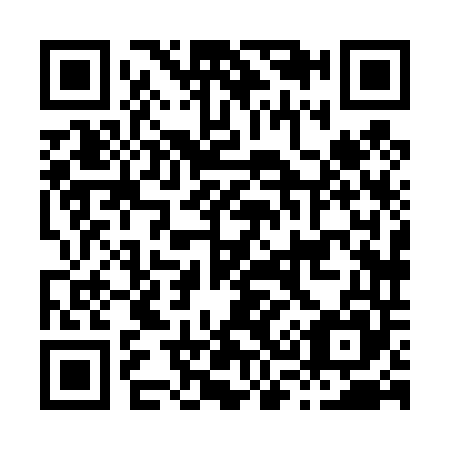 QR code for H38445