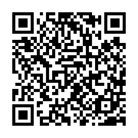QR code for H38603