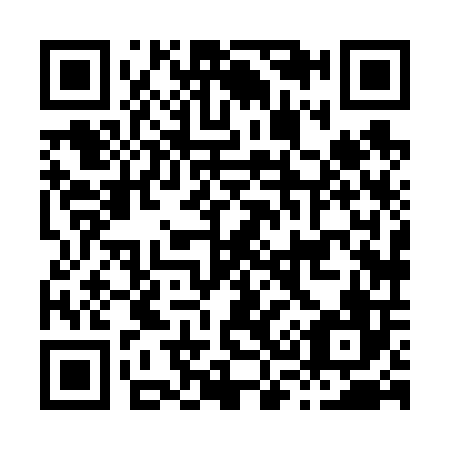 QR code for H38606