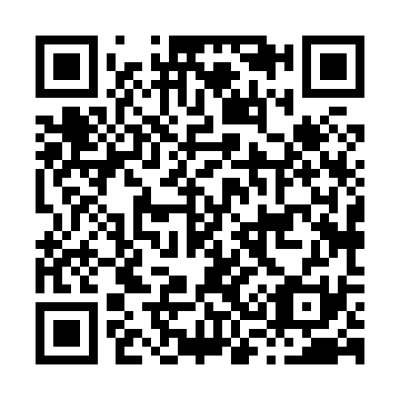 QR code for H38831