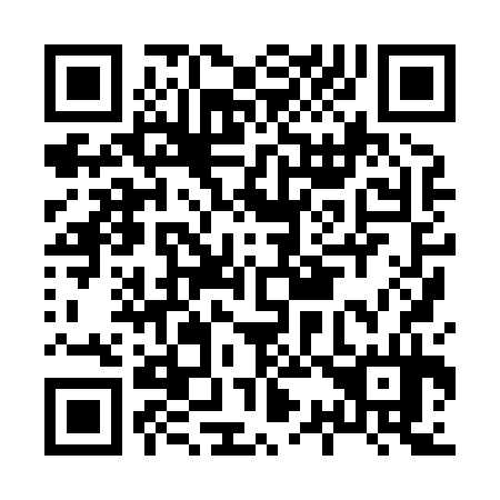 QR code for H38834