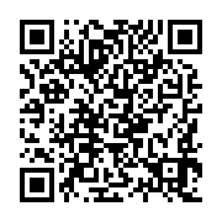 QR code for H38893
