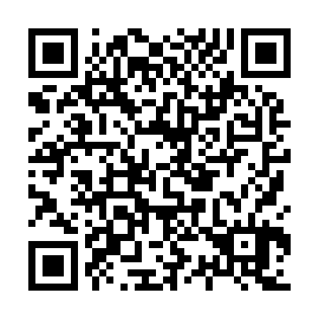QR code for H38924