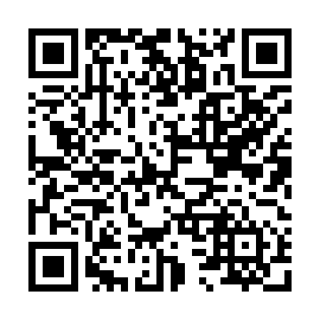 QR code for H38954