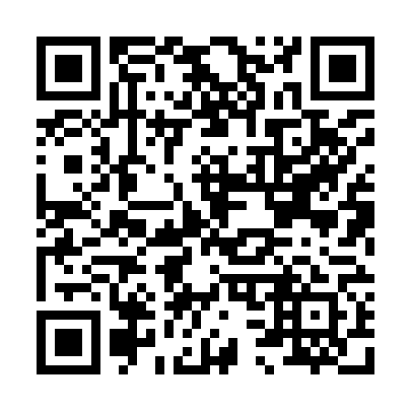 QR code for H38961
