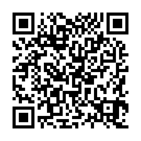 QR code for H38981