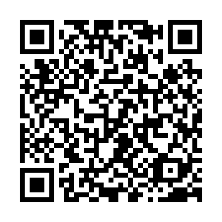QR code for H39229