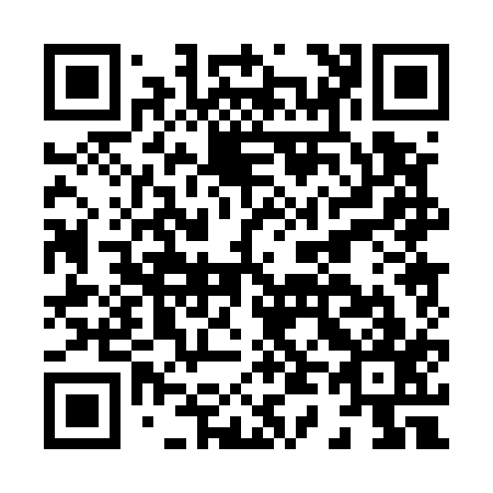 QR code for H40517
