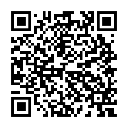 QR code for H41393