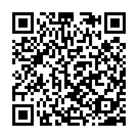 QR code for H41519