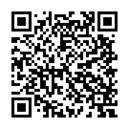 QR code for H41583
