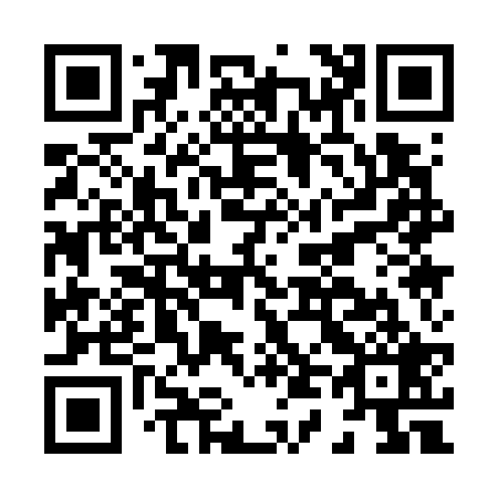 QR code for H41729