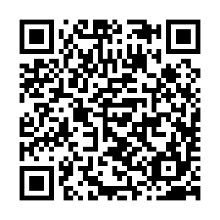 QR code for H42194