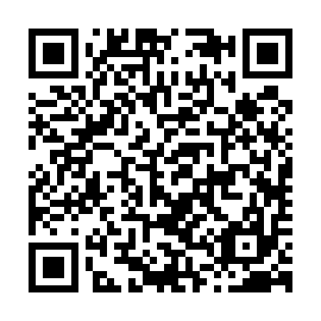 QR code for H42517