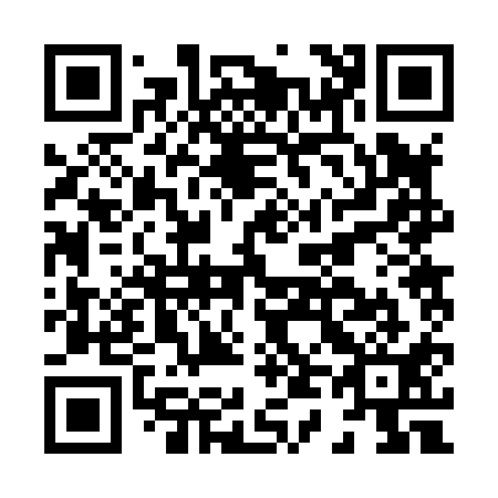 QR code for H42811