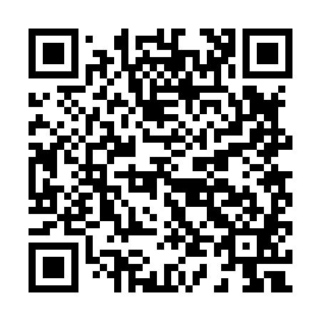 QR code for H42881