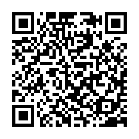 QR code for H42919