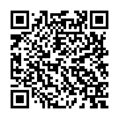 QR code for H42933