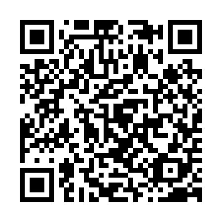 QR code for H43208