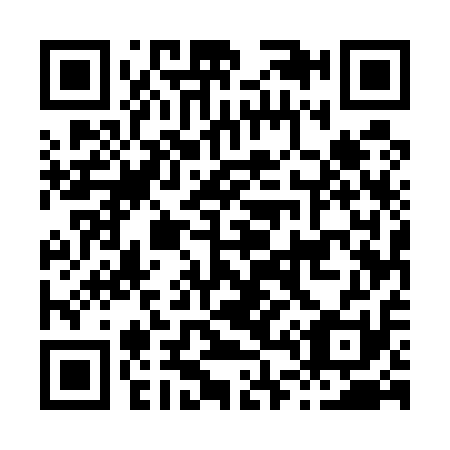 QR code for H45511