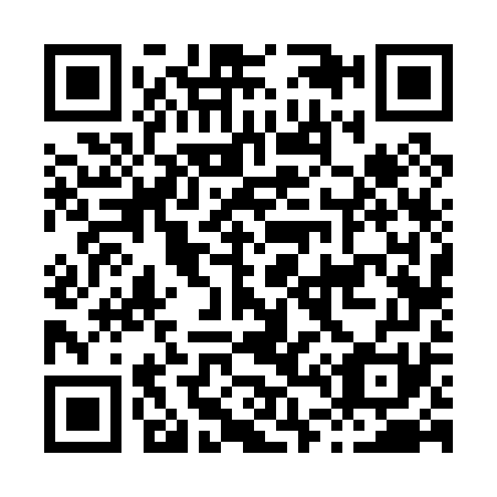 QR code for H46071