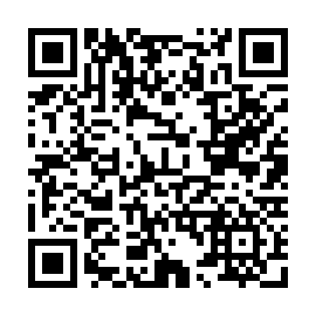QR code for H46137