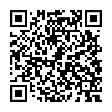 QR code for H46162