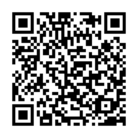 QR code for H46199