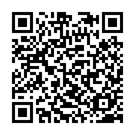 QR code for H46205