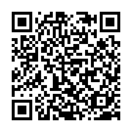 QR code for H46321