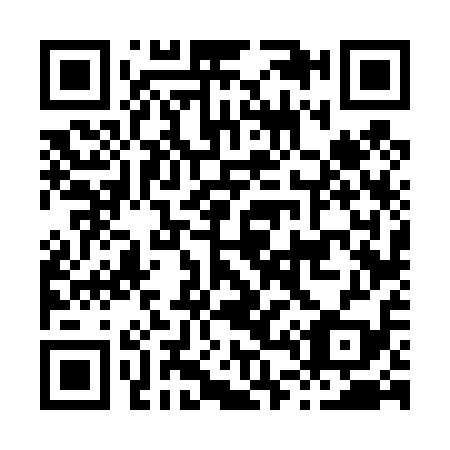 QR code for H46419