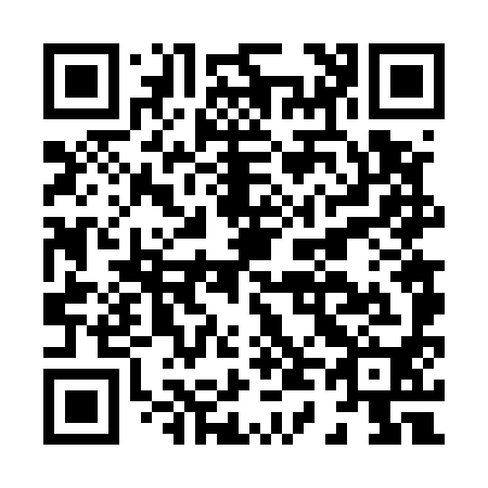 QR code for H46590