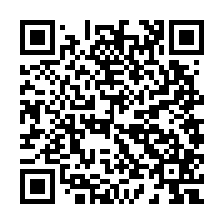 QR code for H46705