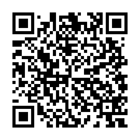 QR code for H46719