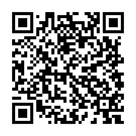 QR code for H46911