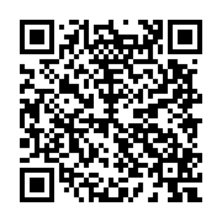 QR code for H48505