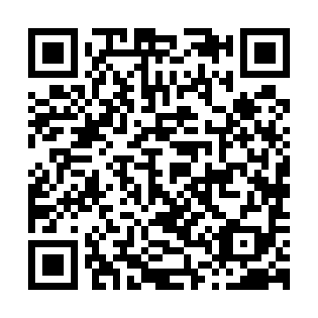 QR code for H48599