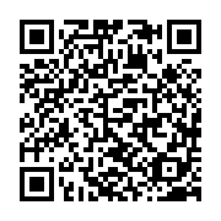 QR code for H48858