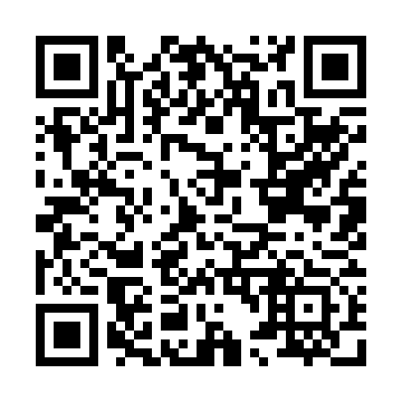 QR code for H49273