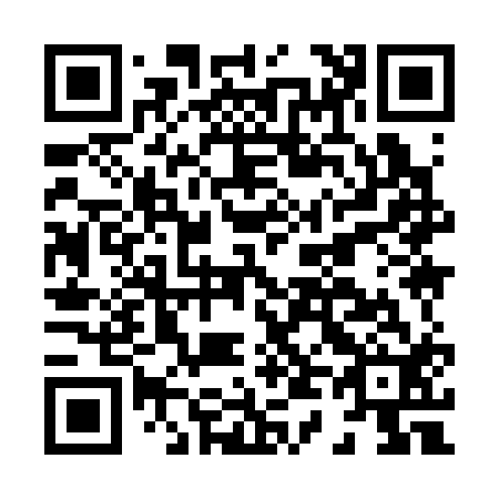 QR code for H49312